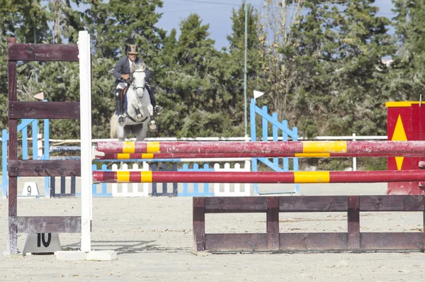 Caballo empezando a saltar varios obstáculos — Foto de Stock