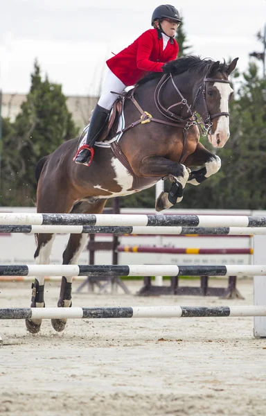 Jinete saltando con caballo — Foto de Stock