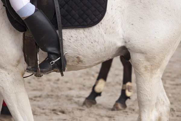 Piloto de inicialização com esporas na competição de salto — Fotografia de Stock