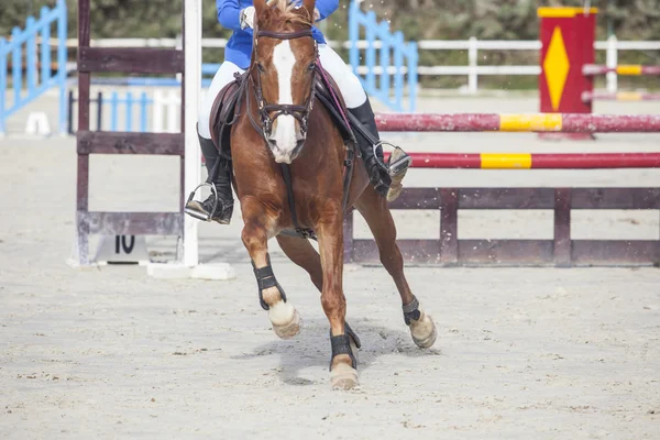 Caballo trotando después de superar el obstáculo — Foto de Stock