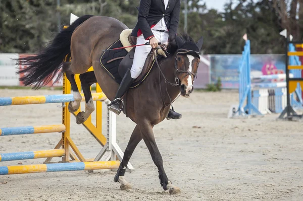 Aterrizaje del caballo después de superar el obstáculo — Foto de Stock