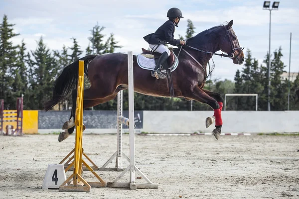 Joven jinete saltando con caballo — Foto de Stock