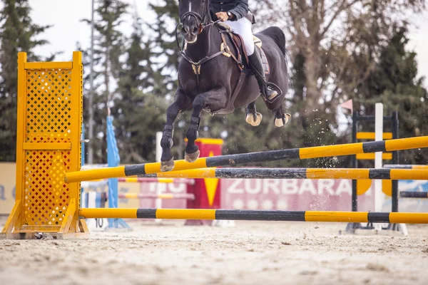 Jinete saltando con caballo — Foto de Stock