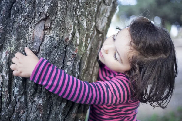 Tocando carinhosamente uma árvore — Fotografia de Stock