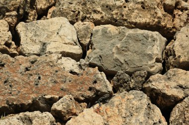 Çiğ doğal taşlar ve aralarında bir kertenkele