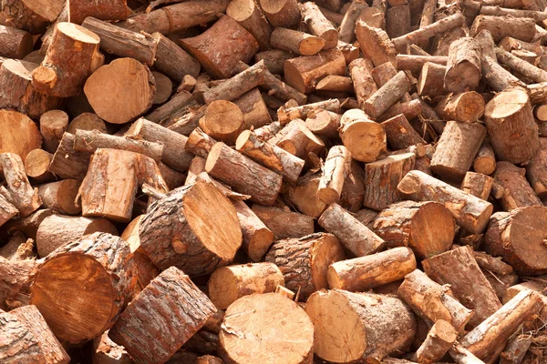 Firewood — Stock Photo, Image