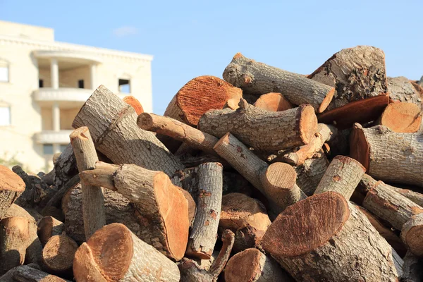 Firewood — Stock Photo, Image