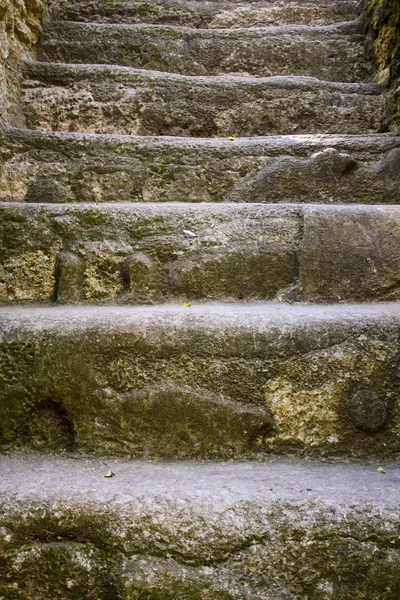 Лестница из пирамид майя Тикал Гватемала — стоковое фото