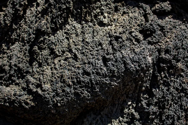 Xochimilco doku lav blok Df Meksika