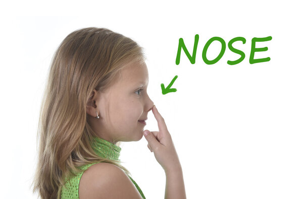 cute little girl pointing her nose in body parts learning English words at school