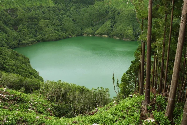 Increíble hermosa vista del paisaje de la laguna verde Lagoa do Rasa o — Foto de Stock
