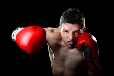 agresif boksör adam mücadelede boks eldiven atma kızgın sağ kroşe yumruk 