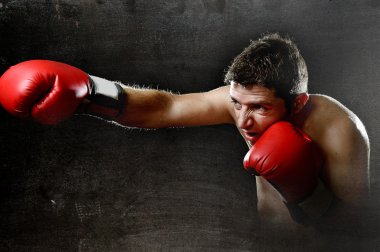 öfkeli adam eğitim boks jimnastiği kısır atma kırmızı mücadele eldivenli yumruk