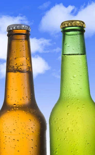 Two Cold frosted beer in green and golden brown bottle frosted and tempting — Stock Photo, Image