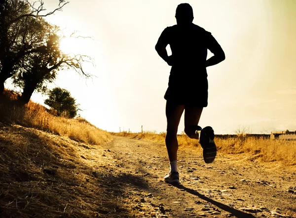 Silhouette of young sport man running on countryside in cross country workout at summer sunset — Stok fotoğraf