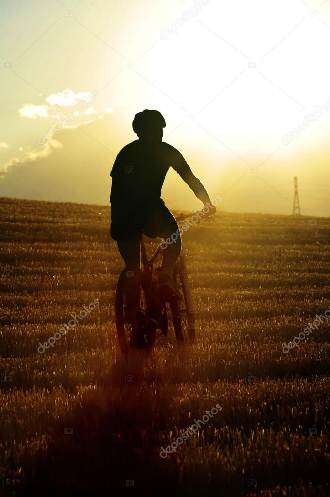 mountain bike rider riding through beautiful straw field against  burning summer sun at sunset