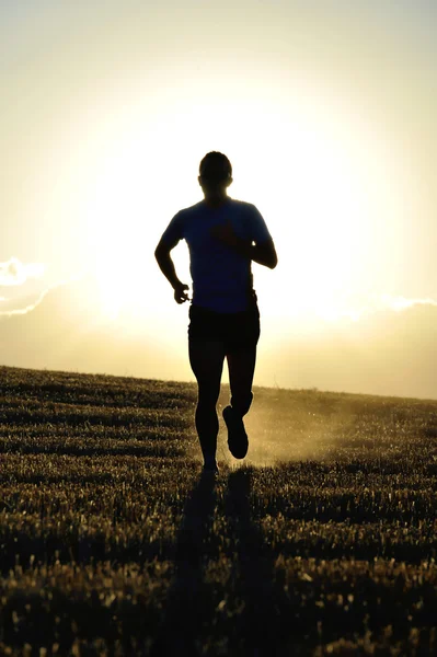 silhouette young sport man running off road in countryside straw field backlight at summer sunset