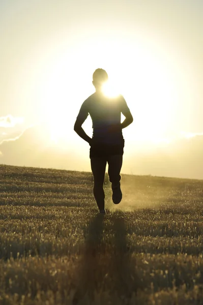 Silhouette giovane uomo sportivo correre fuori strada in campagna campo di paglia retroilluminazione al tramonto estivo — Foto Stock