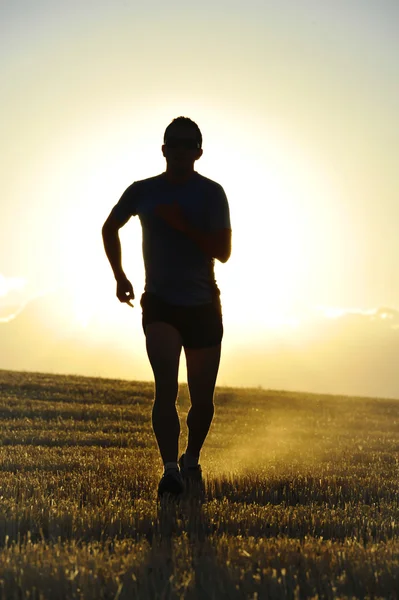 silhouette young sport man running off road in countryside straw field backlight at summer sunset