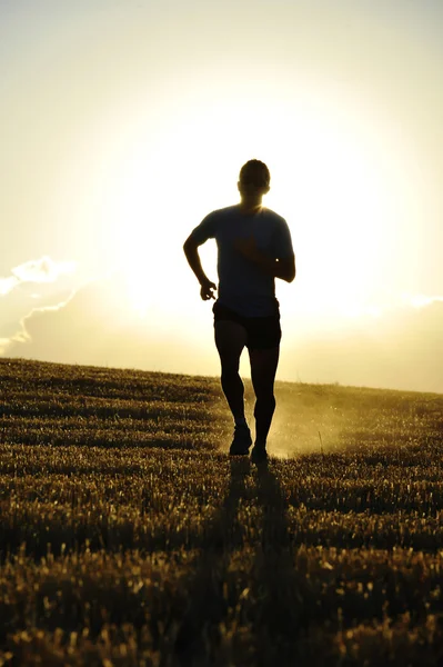 Silhueta jovem esporte homem correndo fora de estrada no campo palha campo backlight no verão por do sol — Fotografia de Stock