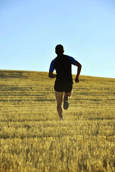 Silhouette sport man running off road in countryside on yellow grass field at sunset