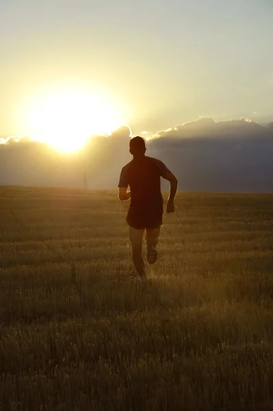 Siluet olahraga manusia berjalan di luar jalan di pedesaan di padang rumput kuning saat matahari terbenam — Stok Foto