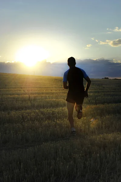 Silhouette sport man corriendo fuera de la carretera en el campo en el campo de hierba amarilla al atardecer — Foto de Stock