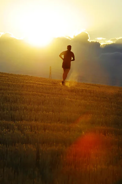 Silhouette sport man running off road in countryside on yellow grass field at sunset — Φωτογραφία Αρχείου