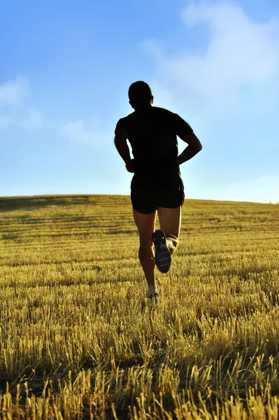 Silhouette sport man running off road in countryside on yellow grass field at sunset