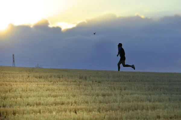 Профільний силует молодого чоловіка, що біжить в сільській місцевості тренувальний крос кантрі біг дисципліни в літній захід сонця на красивому сільському ландшафті — стокове фото