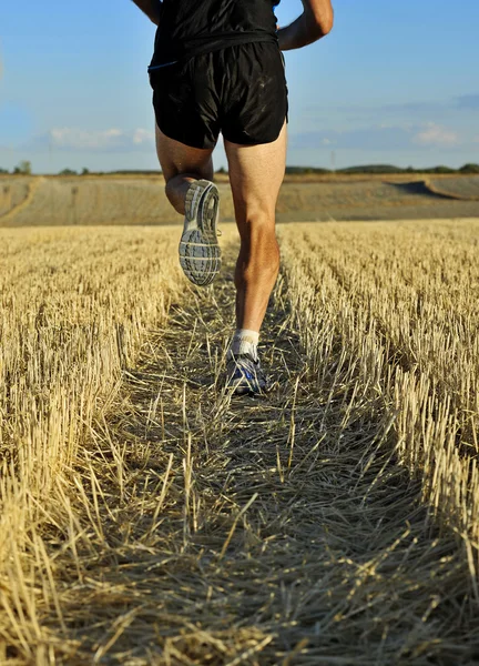 Close up legs and shoes of sport man running cross country back view perspective — 图库照片