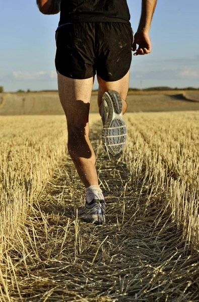 Close up legs and shoes of sport man running cross country back view perspective — Stok fotoğraf