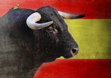 Spanish bull head with big horns looking dangerous isolated on Spain flag clipart