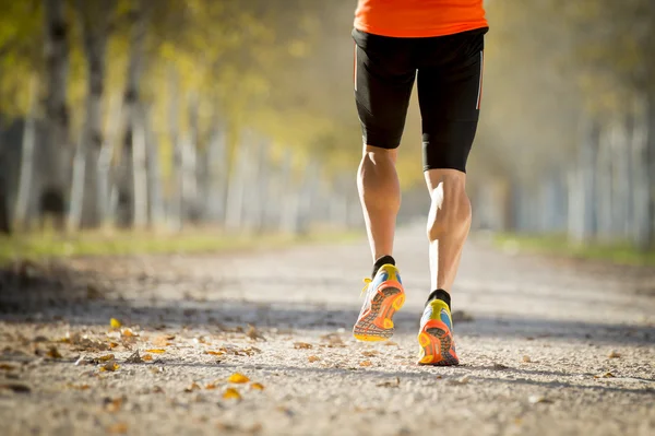 Sport férfi erős borjú izom fut kint út nyomvonal földről a fák gyönyörű őszi napsütésben — Stock Fotó