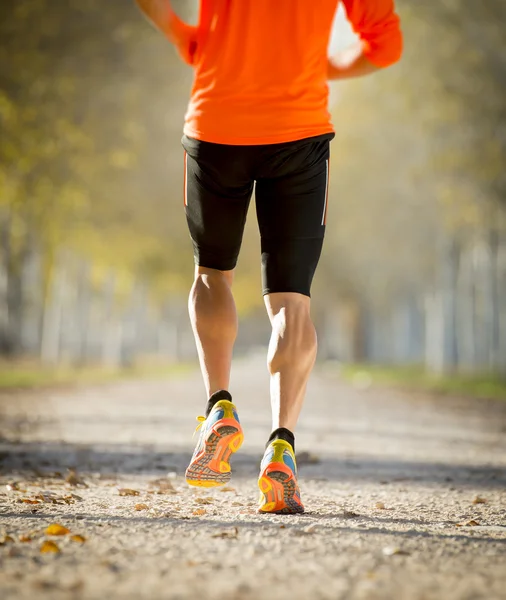 Sport man with strong calves muscle running outdoors in off road trail ground with trees under beautiful Autumn sunlight — Stock Photo, Image