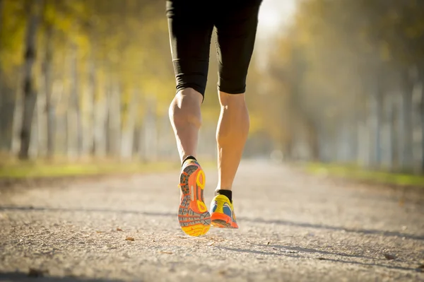 Sport man with strong calves muscle running outdoors in off road trail ground with trees under beautiful Autumn sunlight — Stock Photo, Image