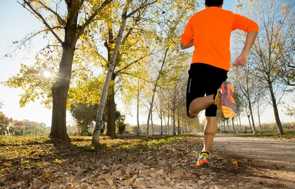 Hombre deportivo con un fuerte músculo de las pantorrillas corriendo al aire libre en terreno sendero fuera de la carretera con árboles bajo la hermosa luz del sol de otoño — Foto de Stock