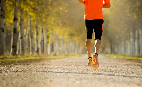 Sport man with strong calves muscle running outdoors in off road trail ground with trees under beautiful Autumn sunlight — Stock Photo, Image