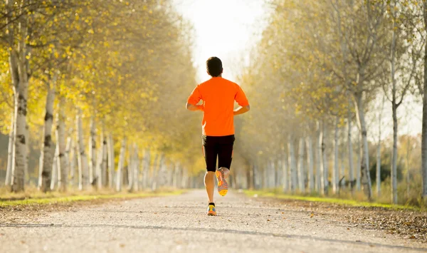 Hombre deportivo con un fuerte músculo de las pantorrillas corriendo al aire libre en terreno sendero fuera de la carretera con árboles bajo la hermosa luz del sol de otoño — Foto de Stock