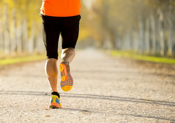 Sport man with strong calves muscle running outdoors in off road trail ground with trees under beautiful Autumn sunlight — Stock Photo, Image