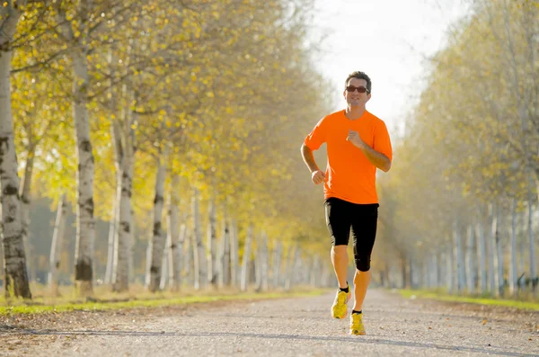 Sport man running outdoors in off road trail ground with trees under beautiful Autumn sunlight — Stock Fotó