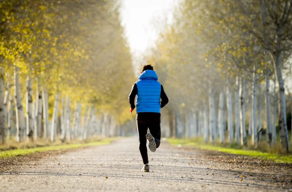 Sport man running outdoors in off road trail ground with trees under beautiful Autumn sunlight — ストック写真