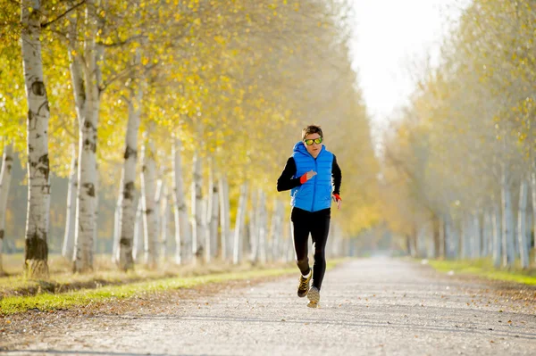 Sport man running outdoors in off road trail ground with trees under beautiful Autumn sunlight — Stok fotoğraf