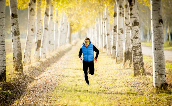Спортсмен, що бігає на відкритому повітрі в позашляховому полі з деревами під красивим осіннім сонячним світлом — стокове фото