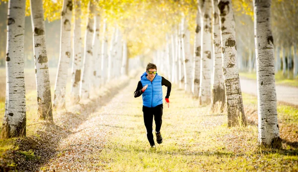 Спортсмен, що бігає на відкритому повітрі в позашляховому полі з деревами під красивим осіннім сонячним світлом — стокове фото