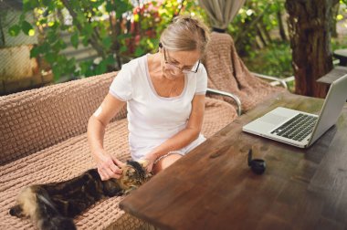 Teknoloji, yaşlılar konsepti. Ev kedisi olan yaşlı mutlu bir kadın bahçede dizüstü bilgisayarla çalışan kablosuz kulaklık kullanıyor. Uzak çalışma, uzak eğitim. 