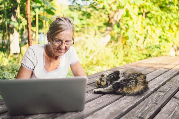 Wanita tua yang bahagia dengan kucing rumahan yang bekerja secara online dengan komputer laptop di luar — Stok Foto