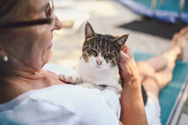 Happy smiling senior elderly woman in glasses relaxing in summer garden outdoors hugging domestic tabby cat. Retired old people and animals pets concept