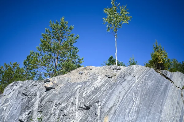 Rock Cut Raw Surface White Grey Marble Natural Environment Trees — Stock Photo, Image