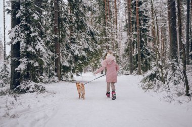Mutlu aile hafta sonları. Pembe, sıcacık elbiseli küçük tatlı kız dışarıda, karlı, soğuk kış ormanlarında kırmızı shiba inu köpeğiyle eğleniyor. Çocuklar spor tatil aktiviteleri konsepti